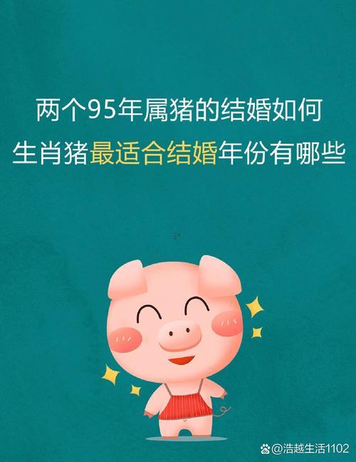 屬豬最佳婚配屬相