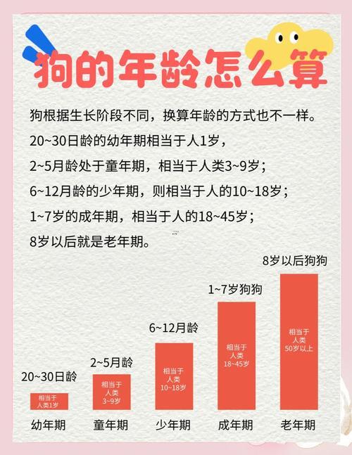 屬狗年齡