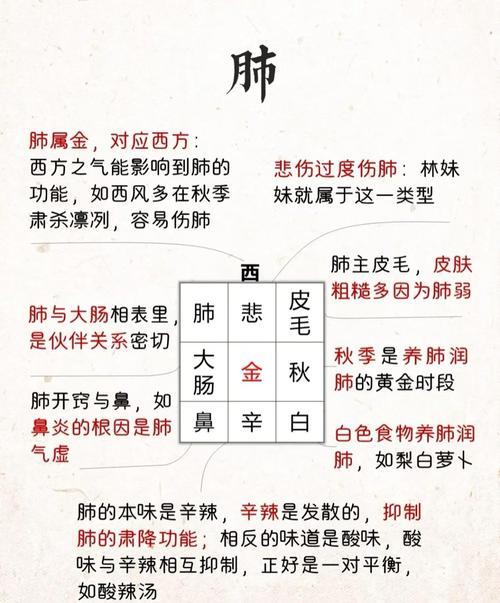 五行屬金得食物