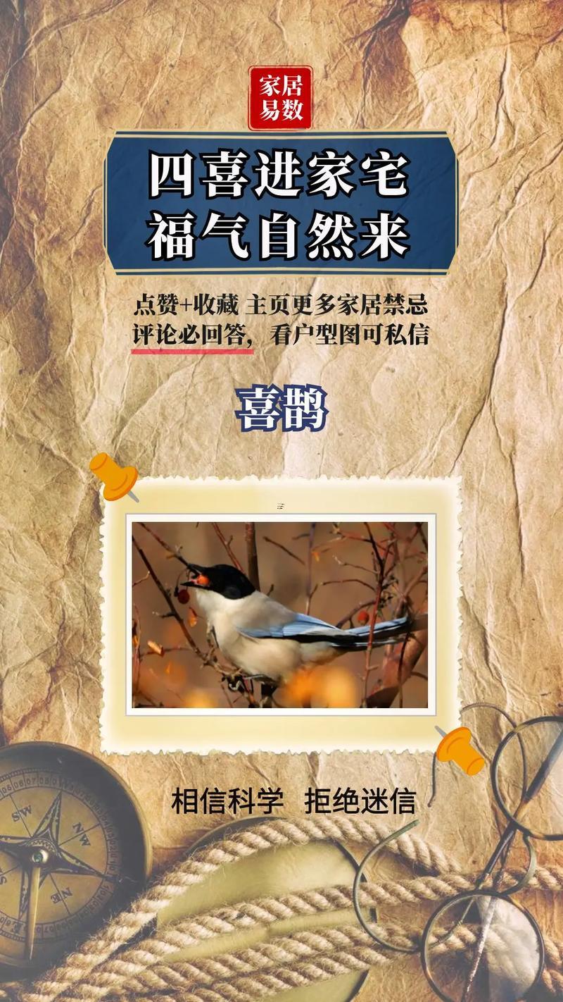 蝙蝠飛到家里是啥預兆