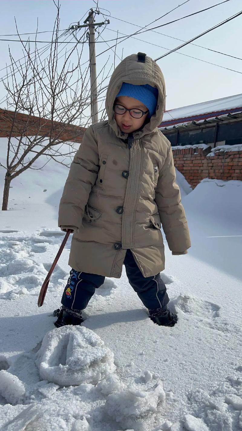 夢見在雪地里玩耍