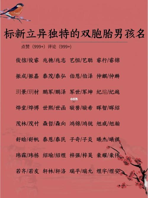 有兩個(gè)兒子怎么取名字