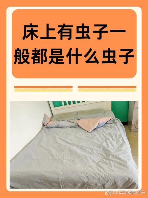 做夢(mèng)夢(mèng)見蟲子