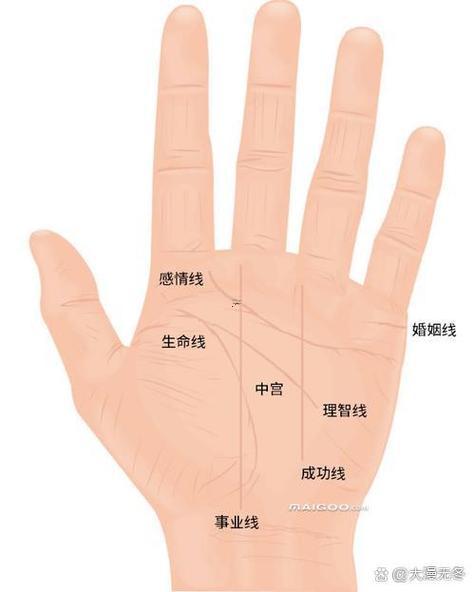 怎么樣看掌紋