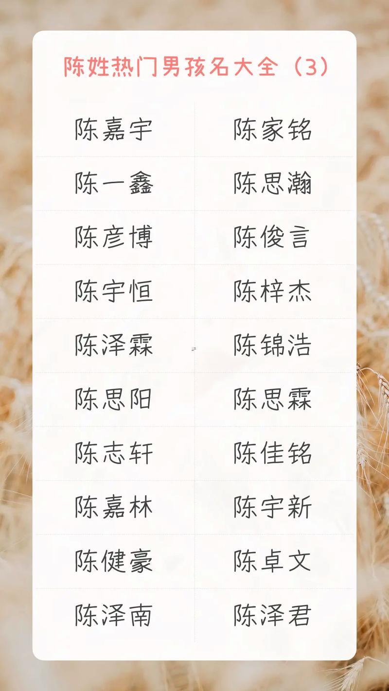 陳姓男孩名字大全