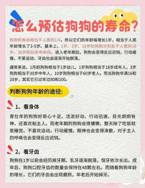 狗年是哪年
