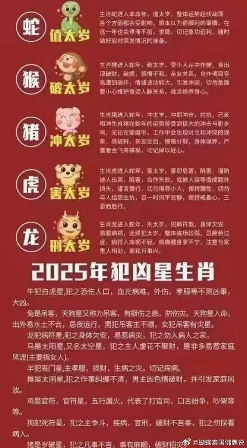 6合生肖表