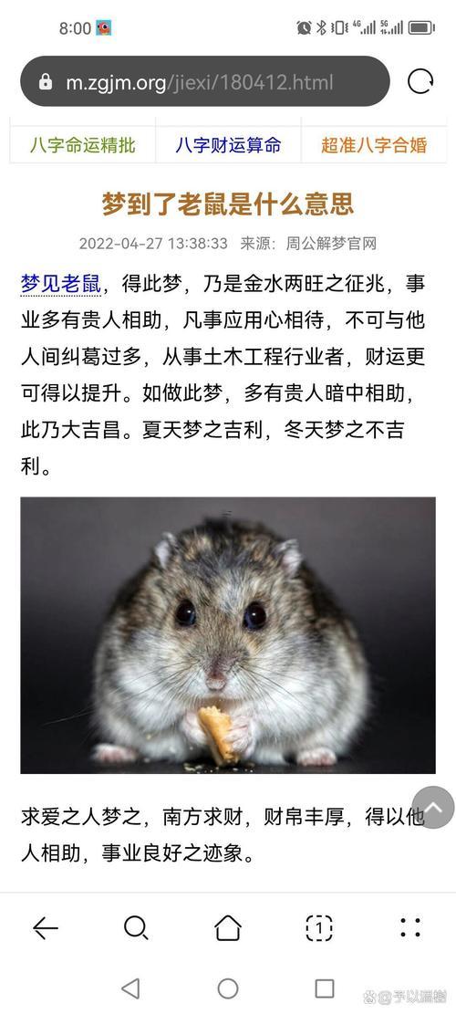夢見好多老鼠