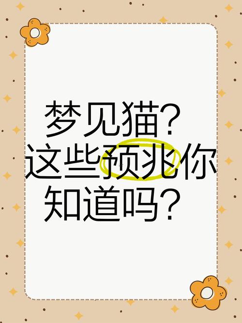 夢見殺貓