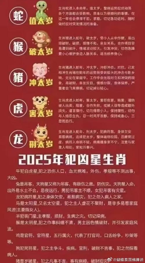今年生肖2025