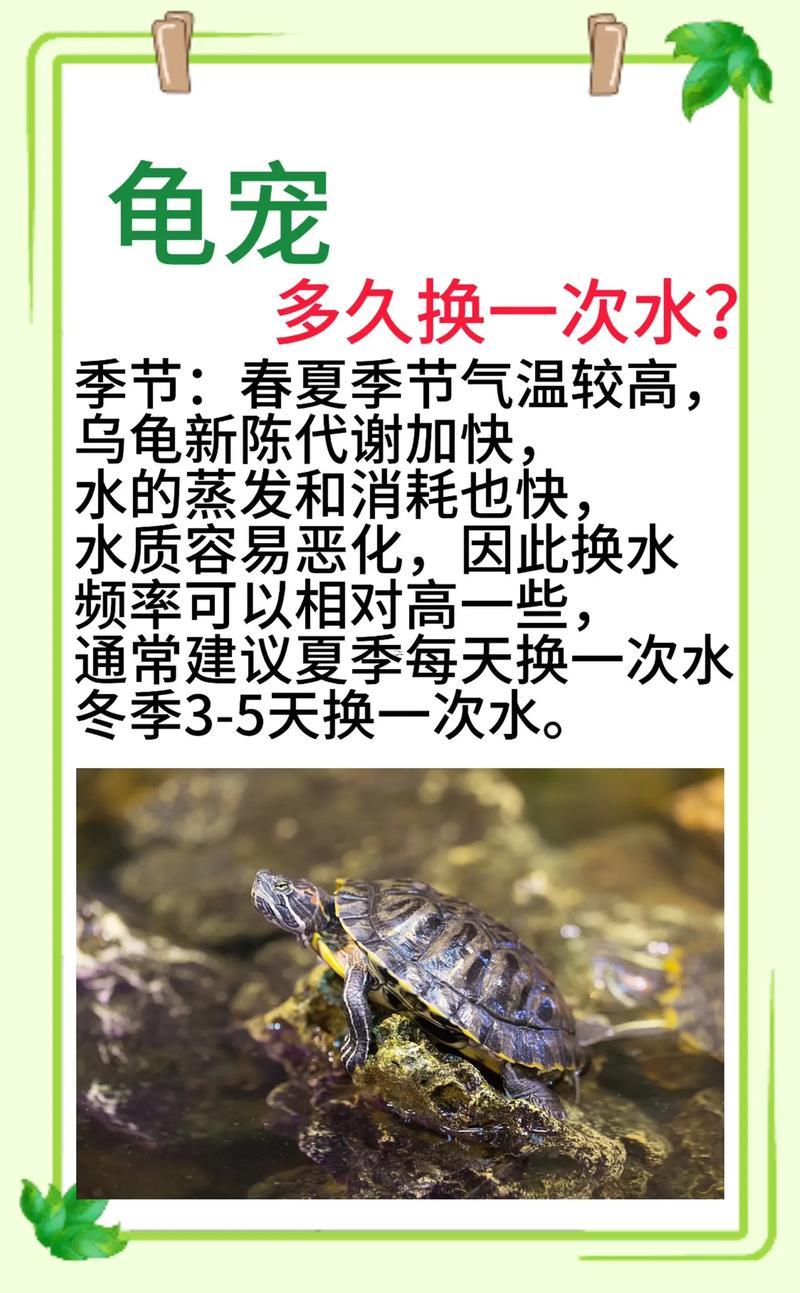 烏龜五行屬何事
