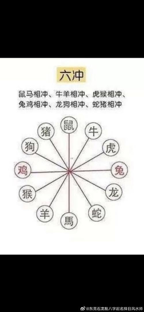 生肖六沖