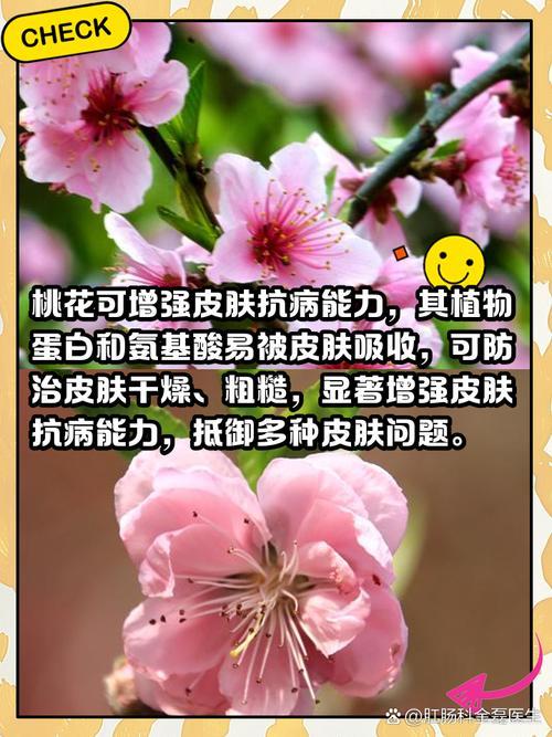 桃花何事意思