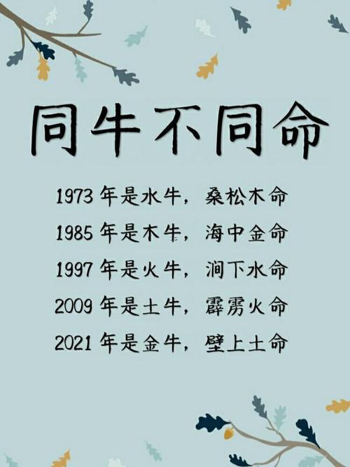 牛年是啥年
