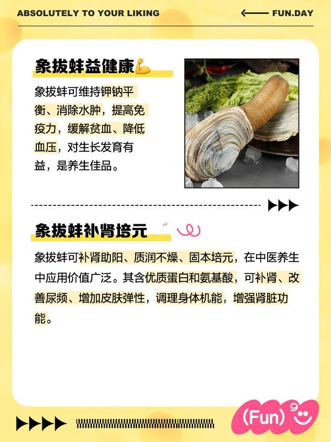 蚌是什么東西動物