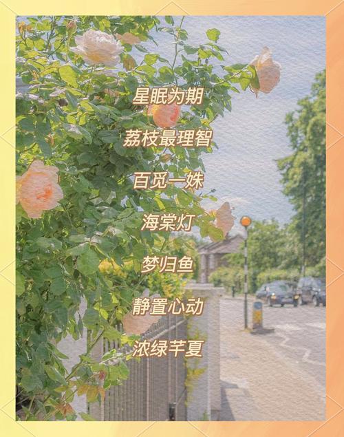 微信名字大全女生
