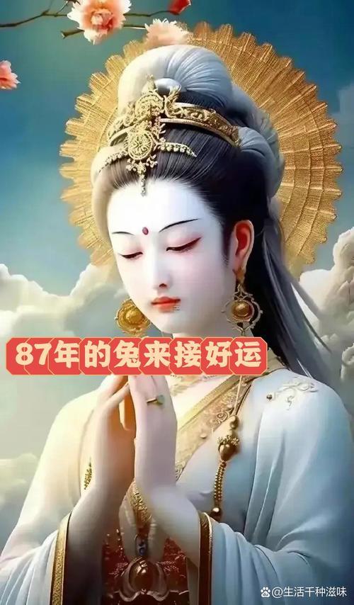 87年屬兔的婚姻怎么樣