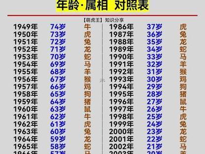 98年是啥東西年