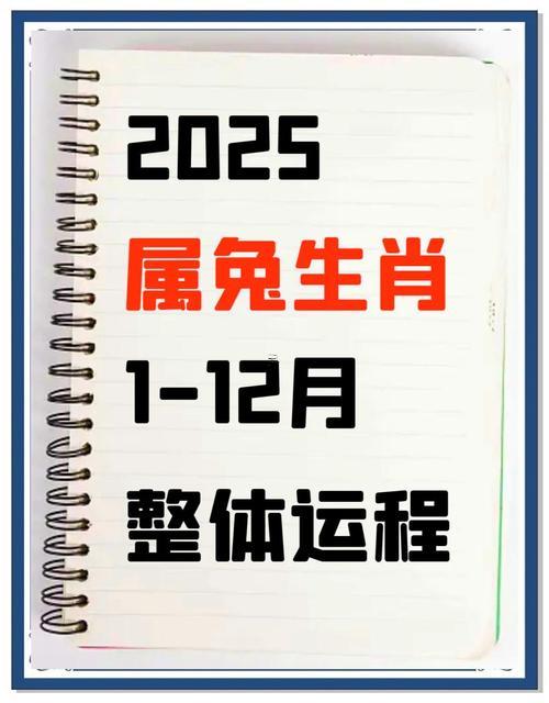 屬兔人永遠最旺的數(shù)字