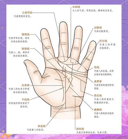 兩條生命線