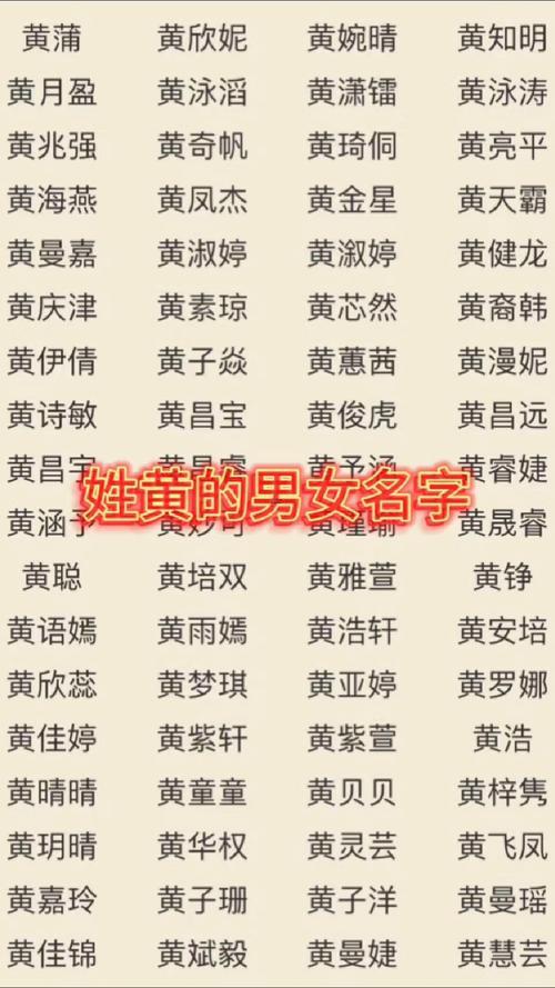 姓黃的名字