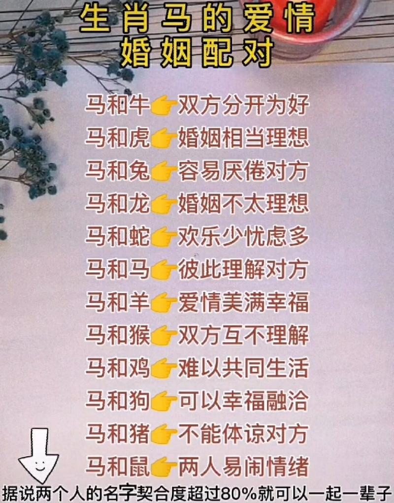 馬跟豬相配婚姻怎么樣