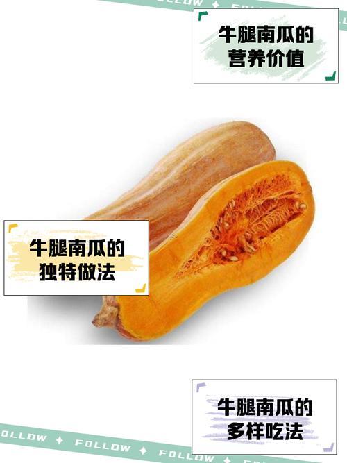 孕婦夢(mèng)見(jiàn)南瓜