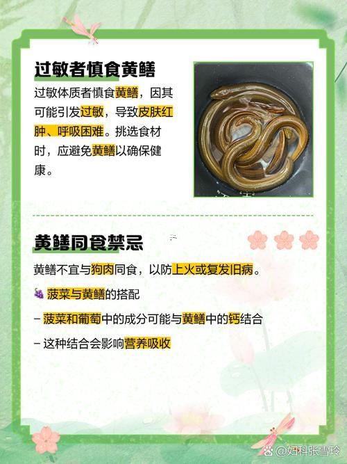 夢(mèng)到抓黃鱔