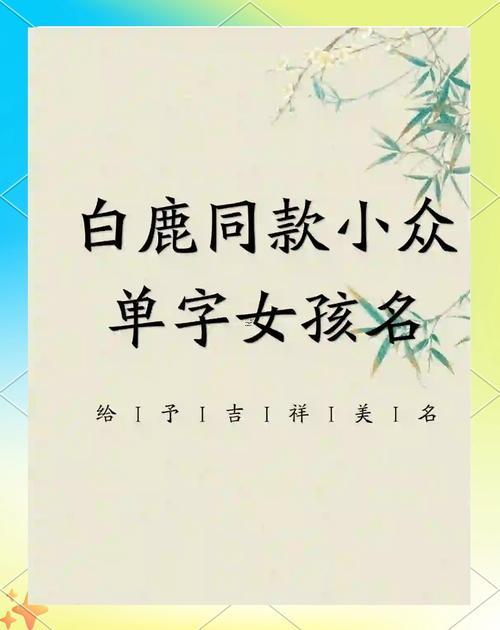 白姓女孩名字