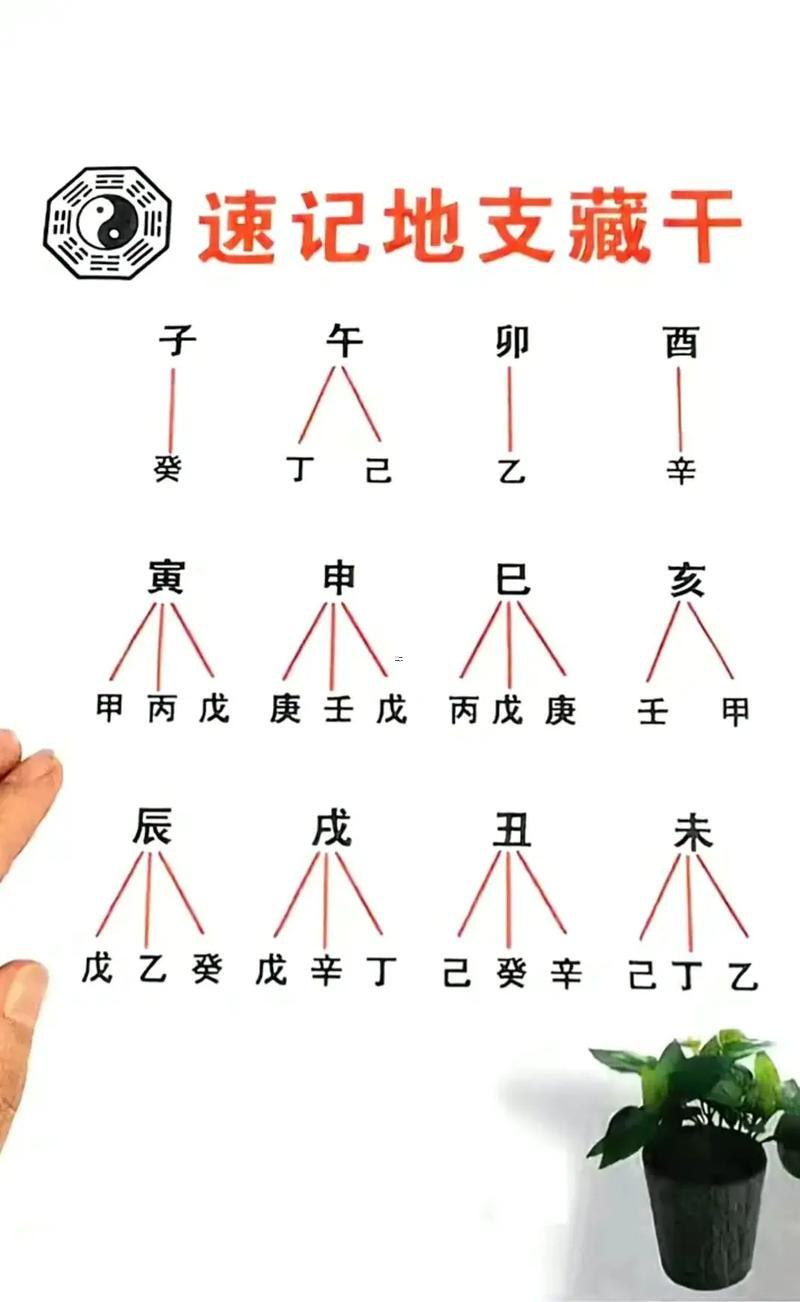 十二干支