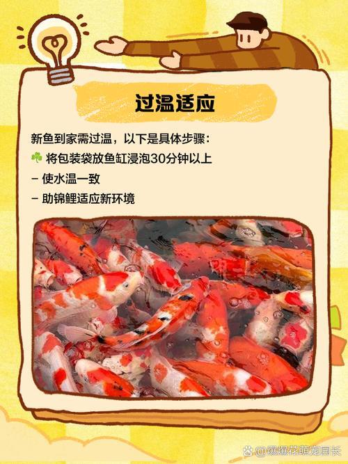 1月份買魚入缸吉日