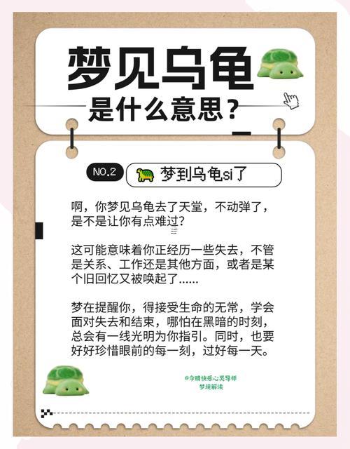 女人夢到烏龜何事預兆夢見與別的男的在共同