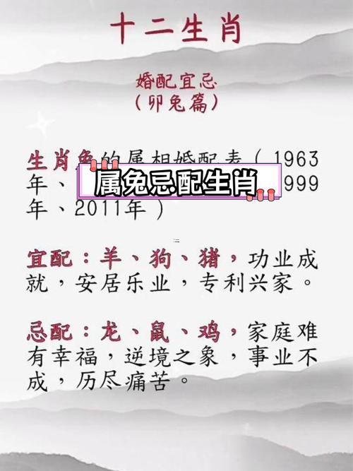 馬同兔合不合