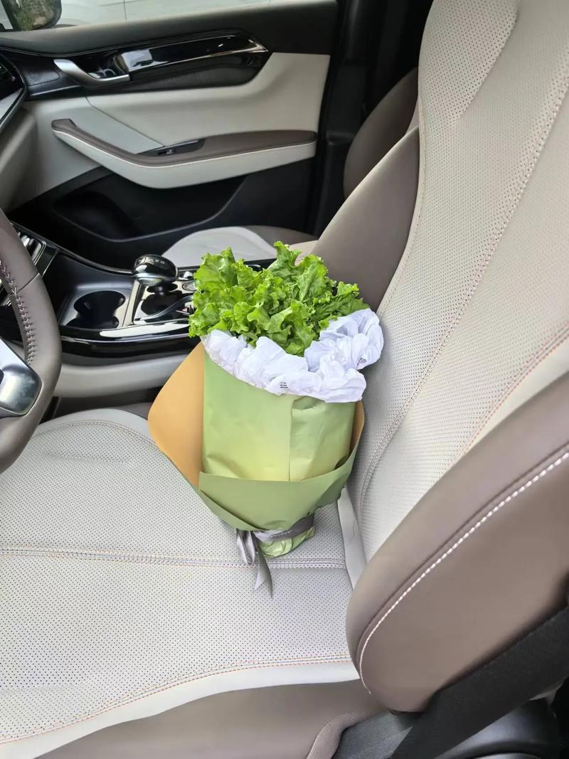 最近提車的良辰吉日十一月