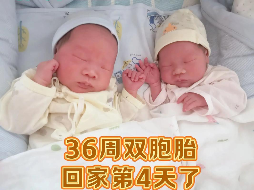 夢見生了個女兒