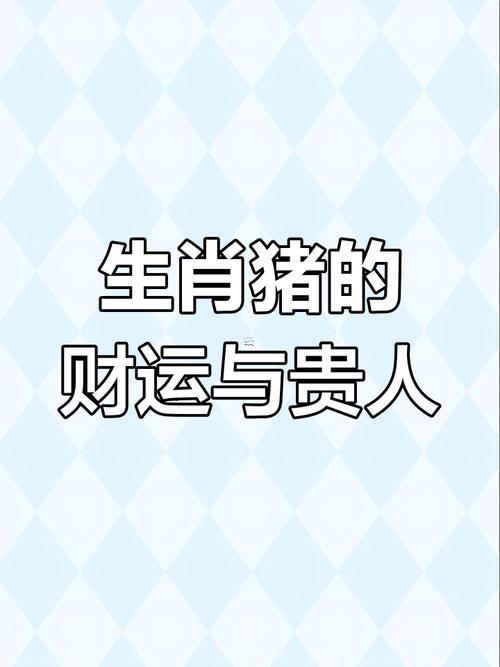 2025屬相五行