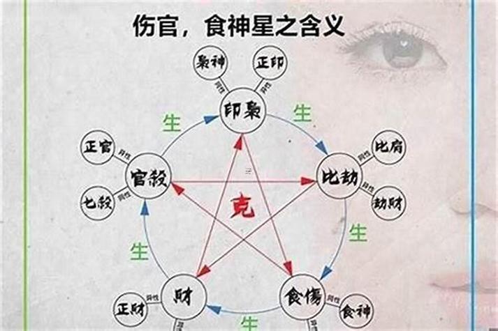 八字食傷太重什么東西意思