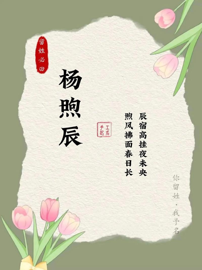 姓楊男孩名字大全