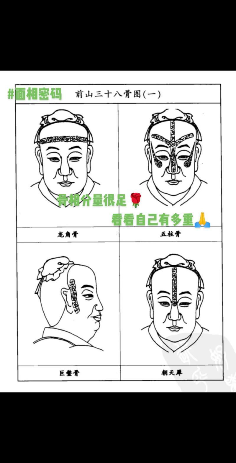 伏羲骨面相圖解