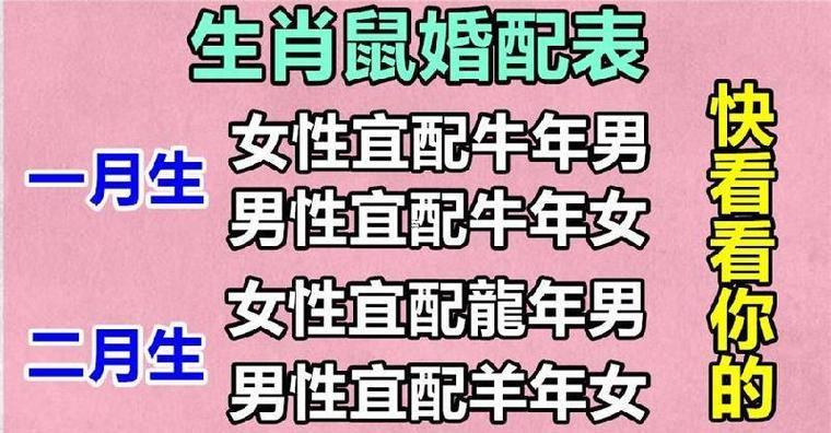 屬鼠的與什么屬相最配相克