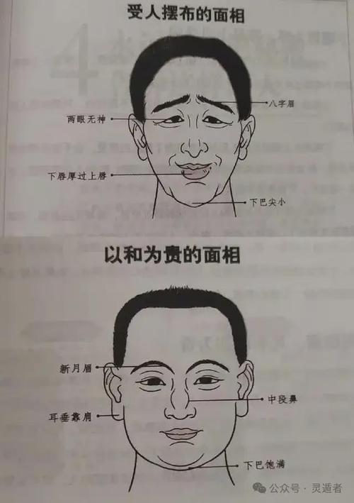 男人面相圖解大全