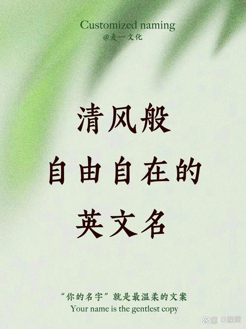 寓意風(fēng)跟著自由的字