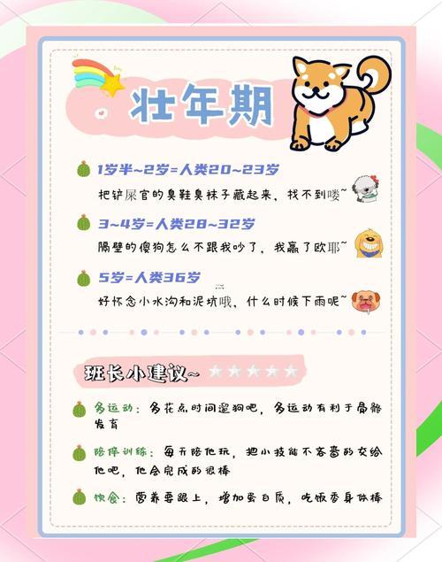 屬豬的年齡表
