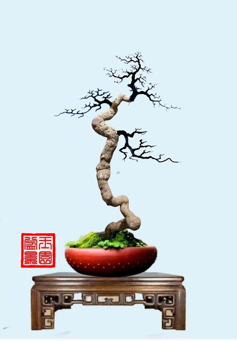 屬蛇人居家擺啥盆景最好