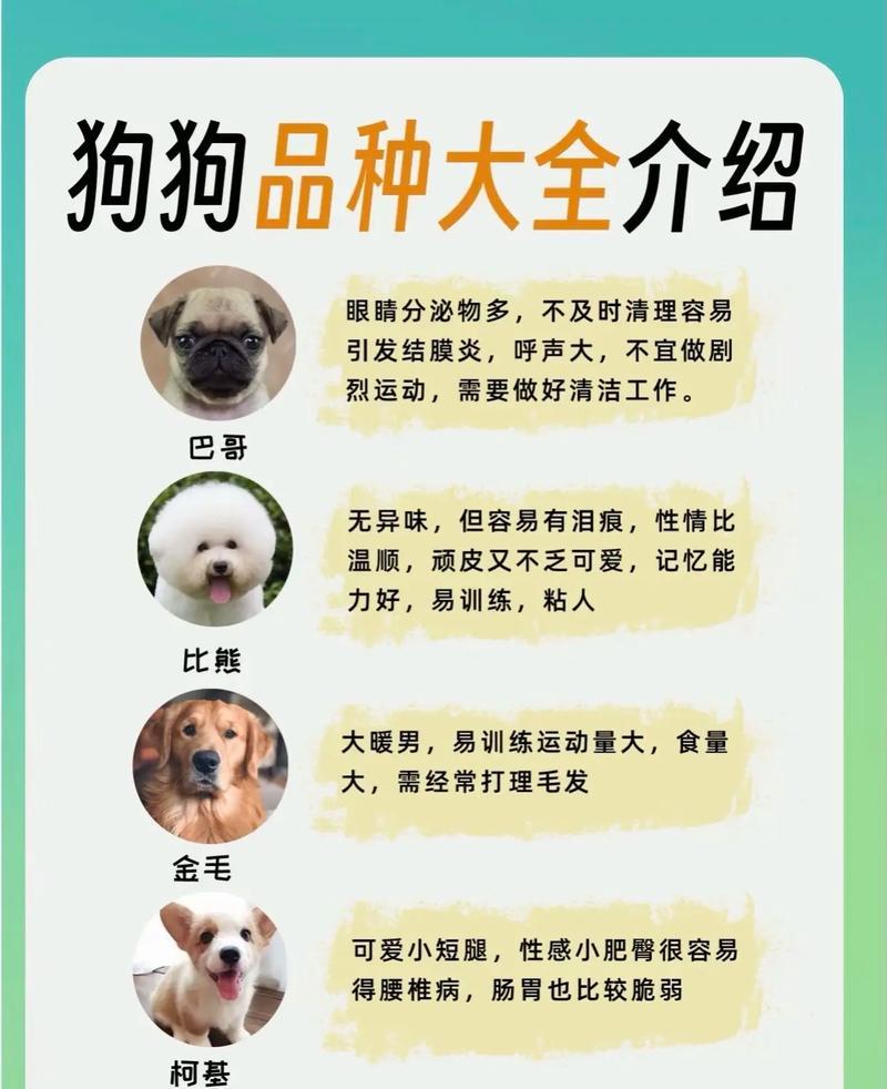 狗名大全
