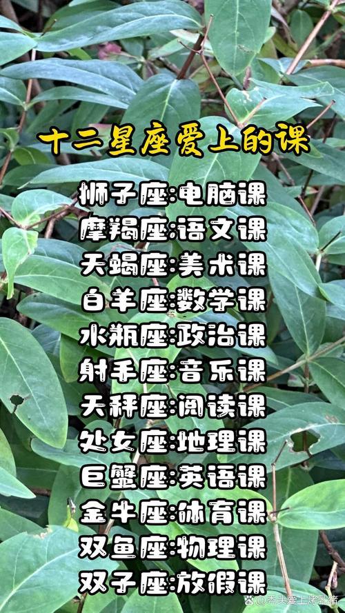 十二星座做作業(yè)