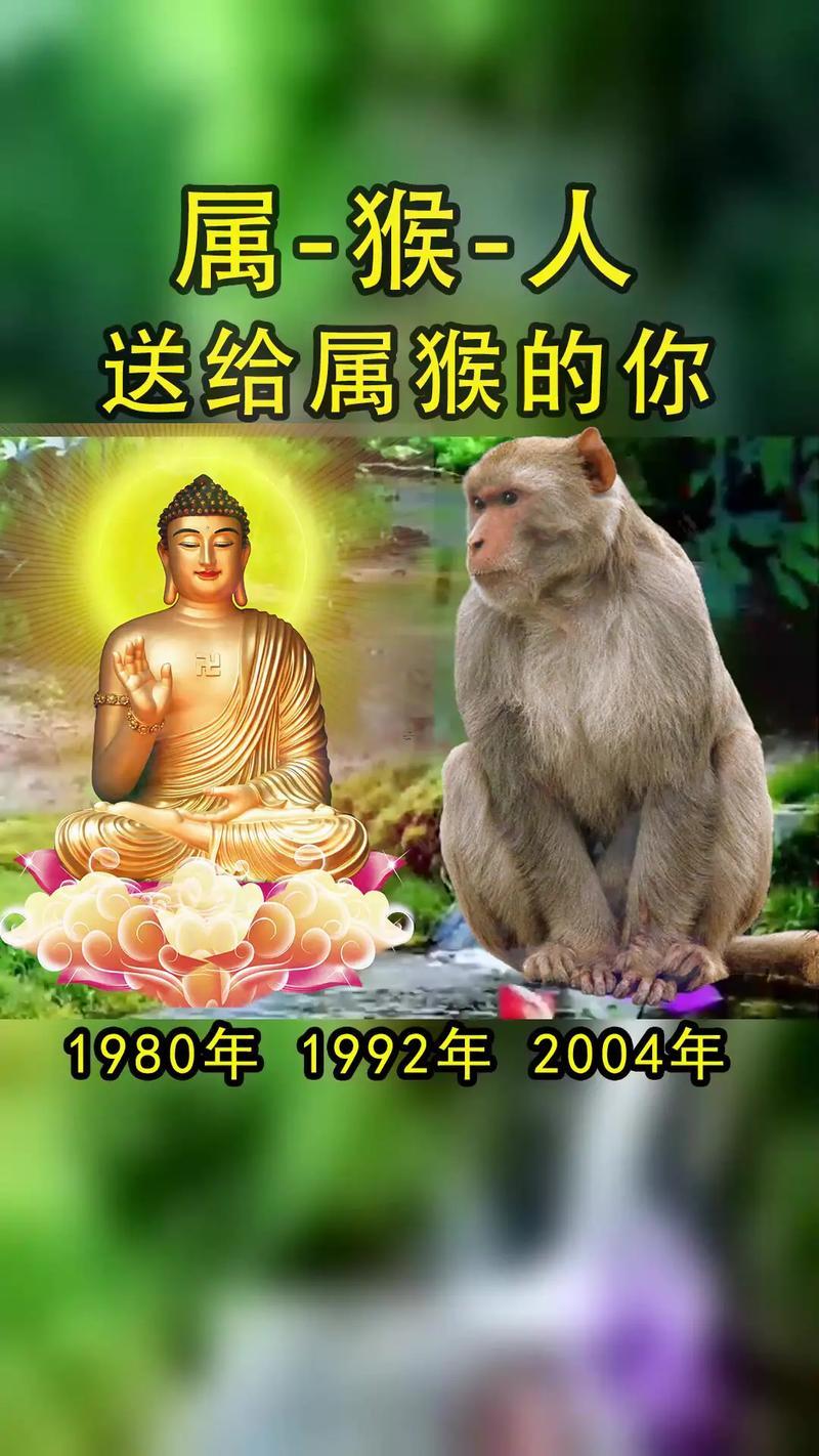 屬猴同何事屬相合