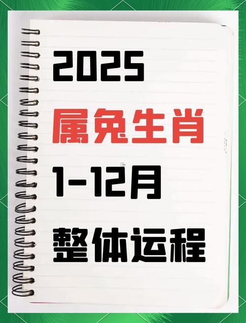 屬兔人2025年運(yùn)勢(shì)還有運(yùn)程