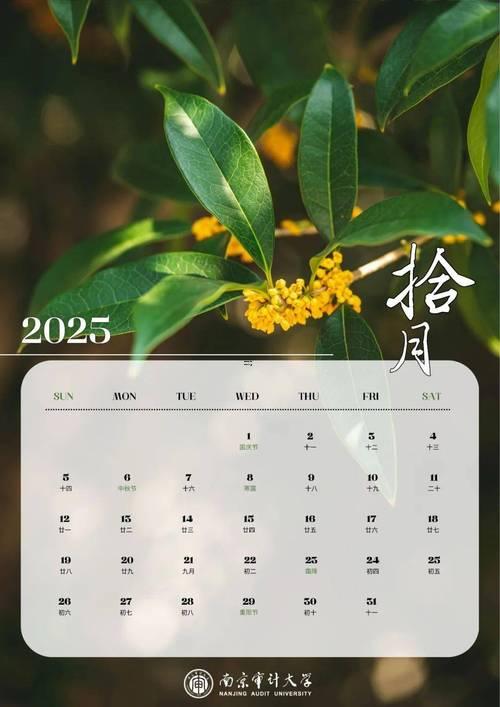 2025年農(nóng)歷十二月有幾個(gè)