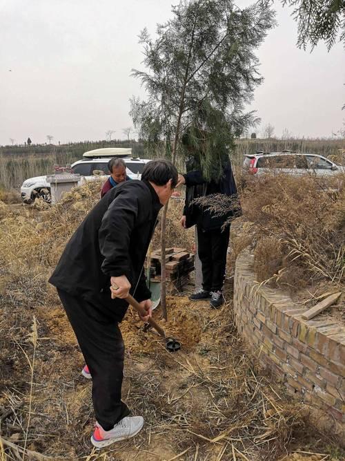去墳上修剪樹選個(gè)什么吉日